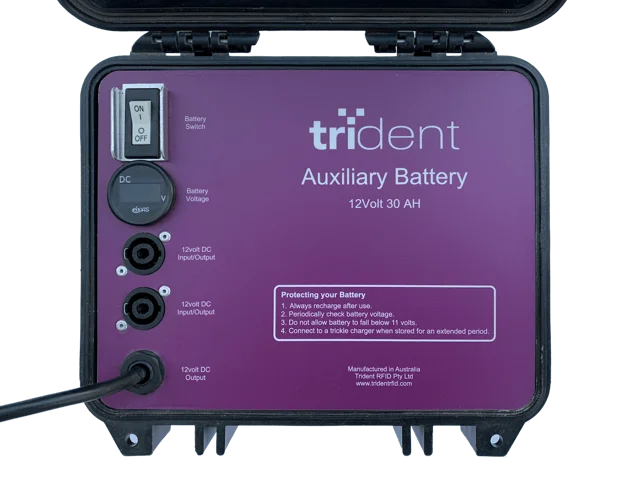Auxiliary Battery